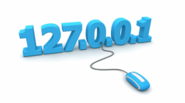 What is an IP address